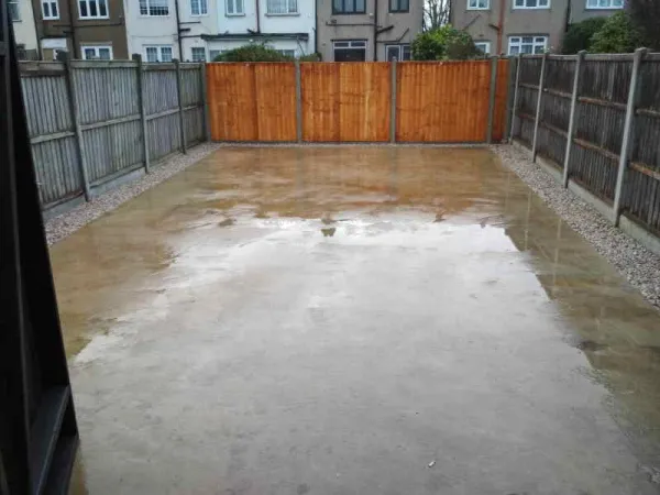 Back yard